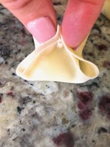 Avocado Cream Cheese Wontons With Sesame