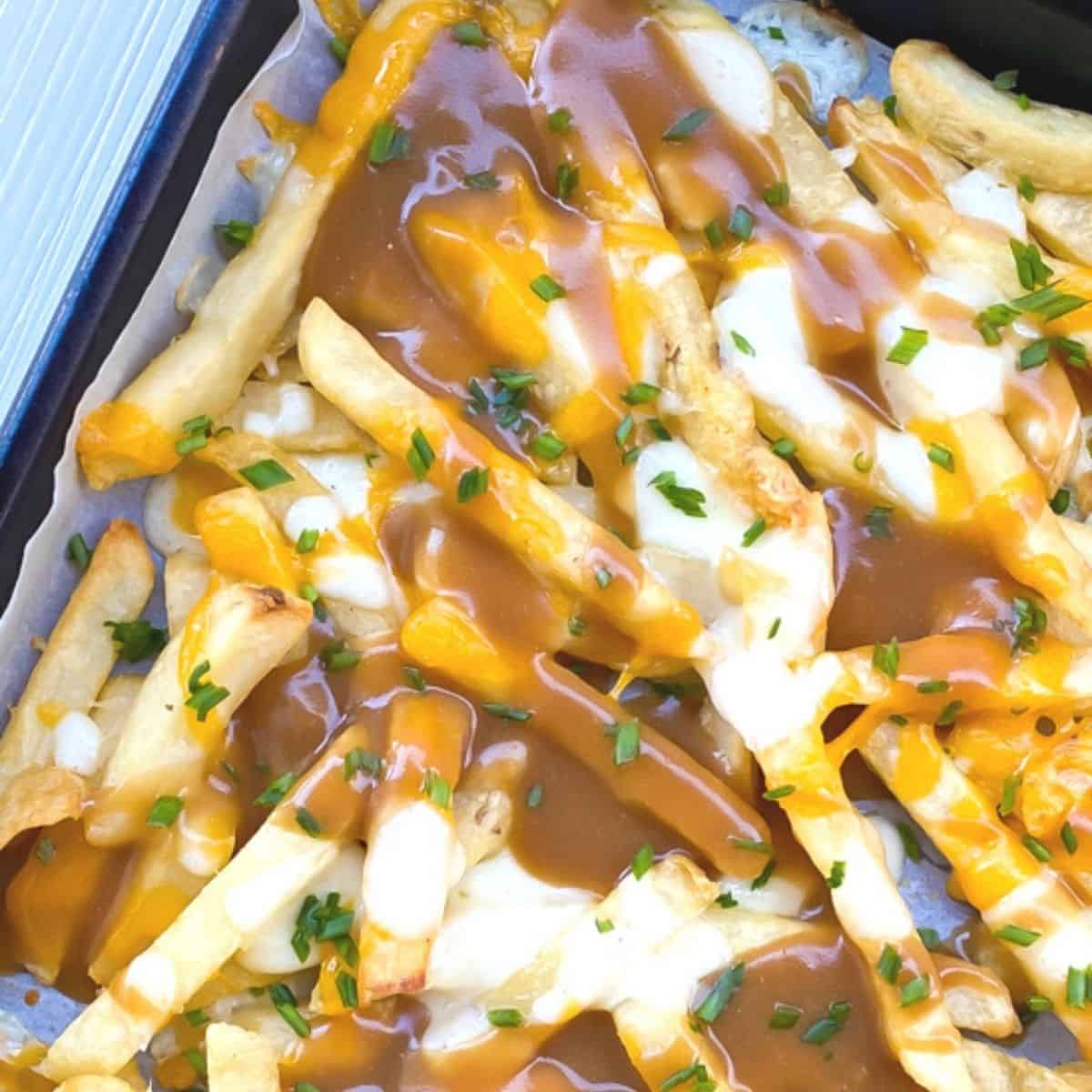 french fries covered in mozzarella cheese and gravy