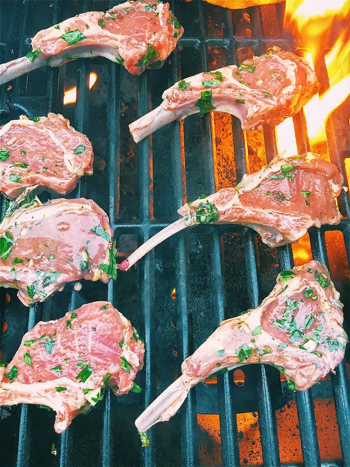 Grilling marinated lamb chops on a grill.