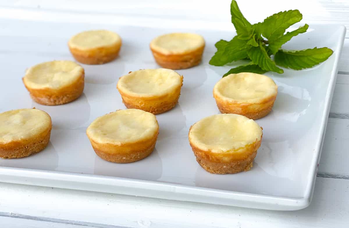 mini plain cheesecakes with cookie crust on white plate.