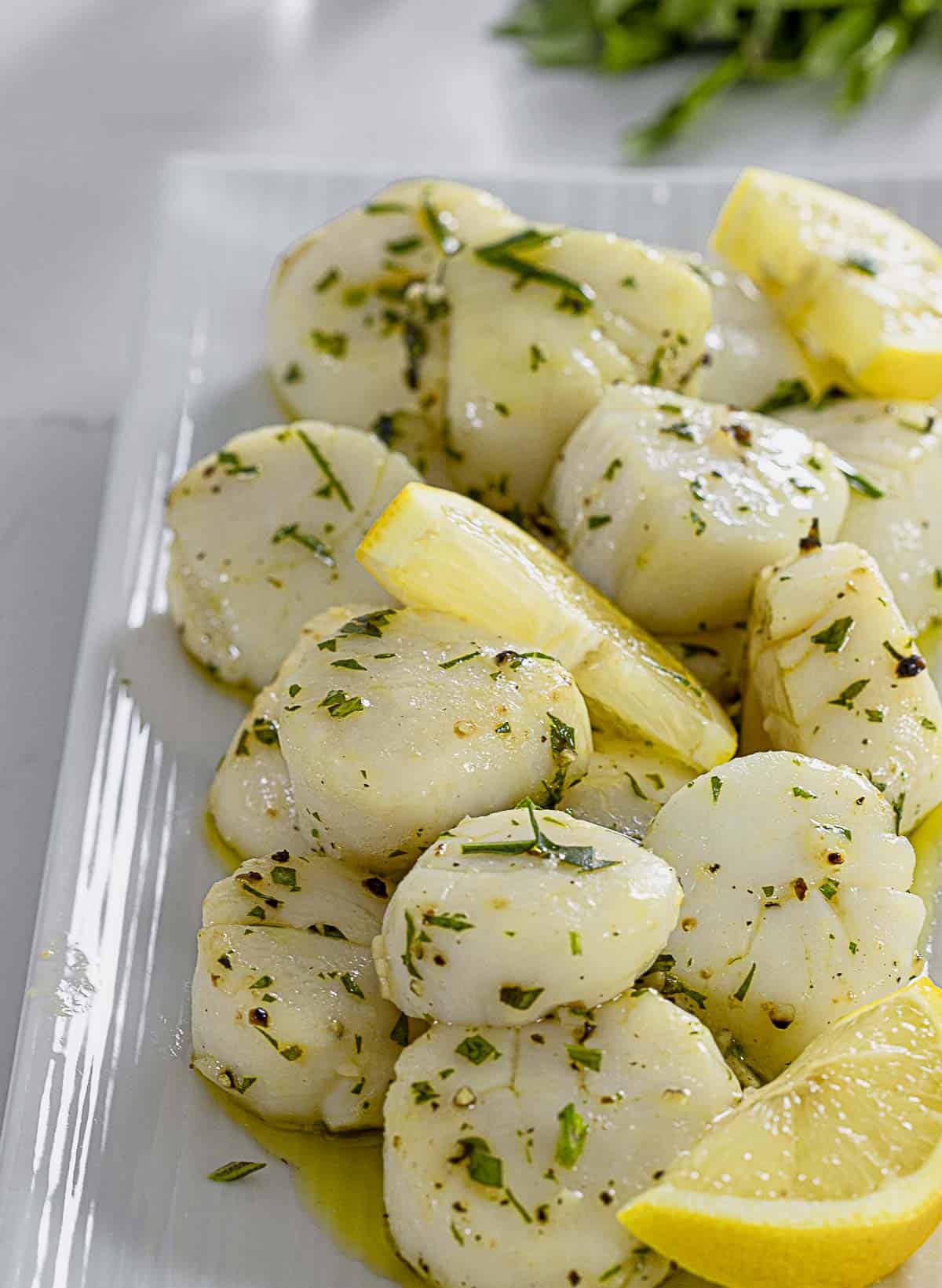 Side angle of air fryer scallops with lemon and sage on plate.