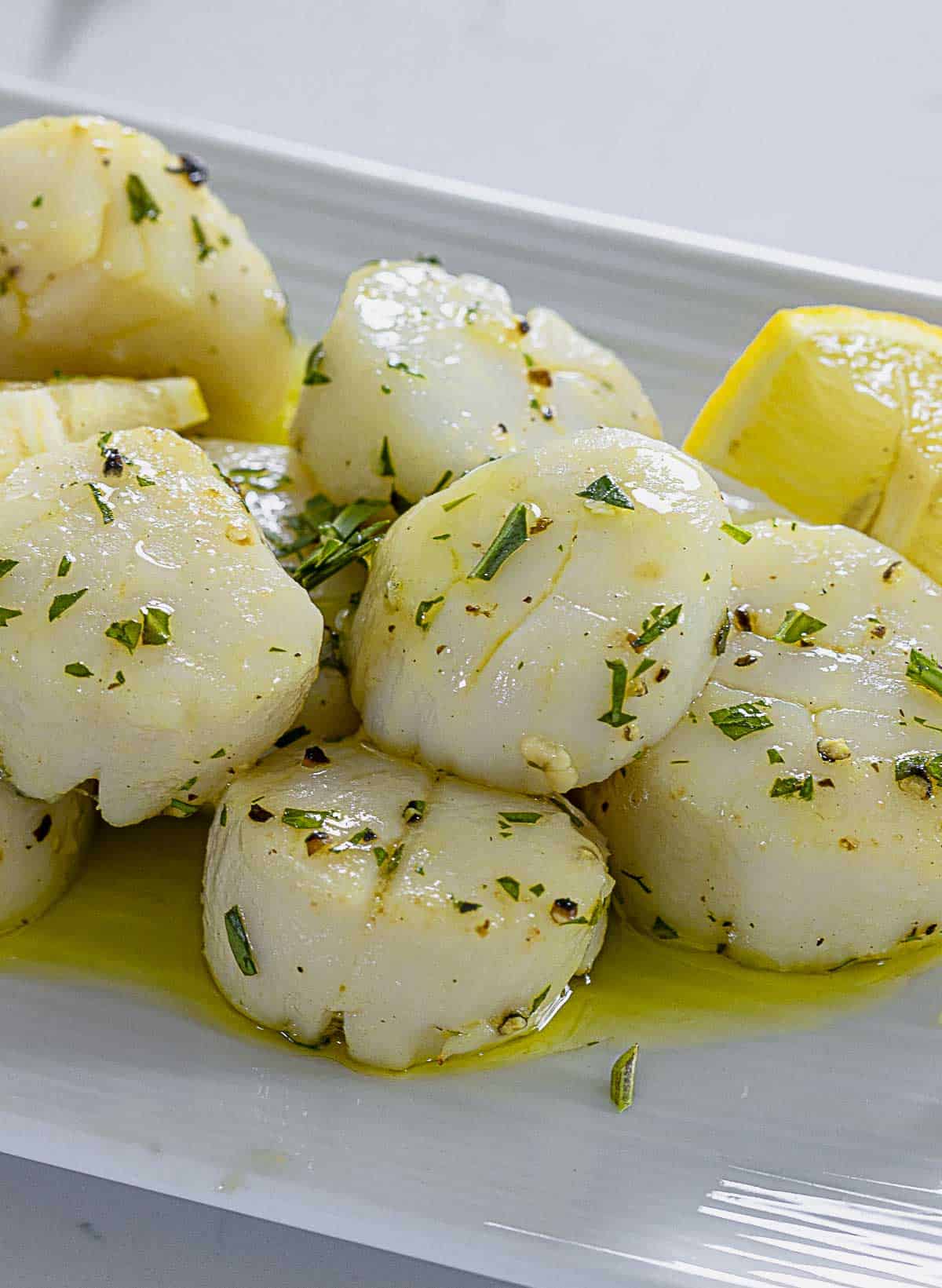 Close up on air fried scallops on white plate with oil and herbs.