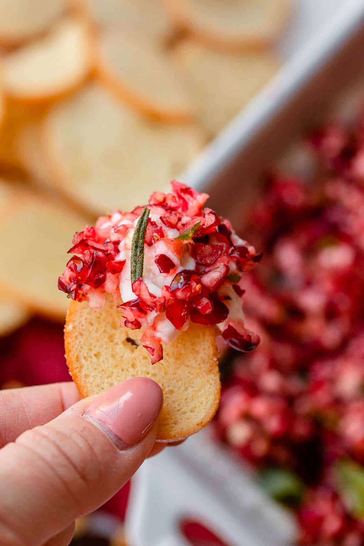 Cranberry jalapeno dip on crostini.