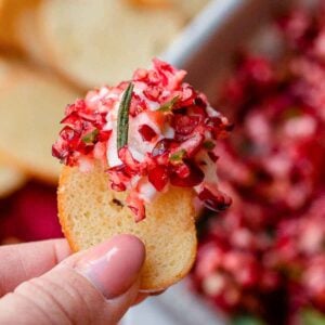 Close up of cranberry jalapeno cream cheese dip scooper onto a cracker.