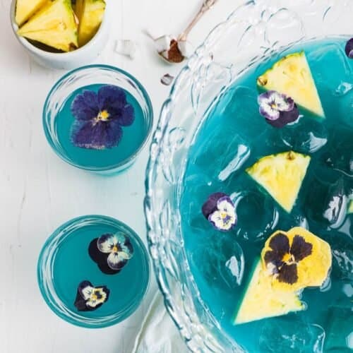 Baby Shower Punch - Aleka's Get-Together