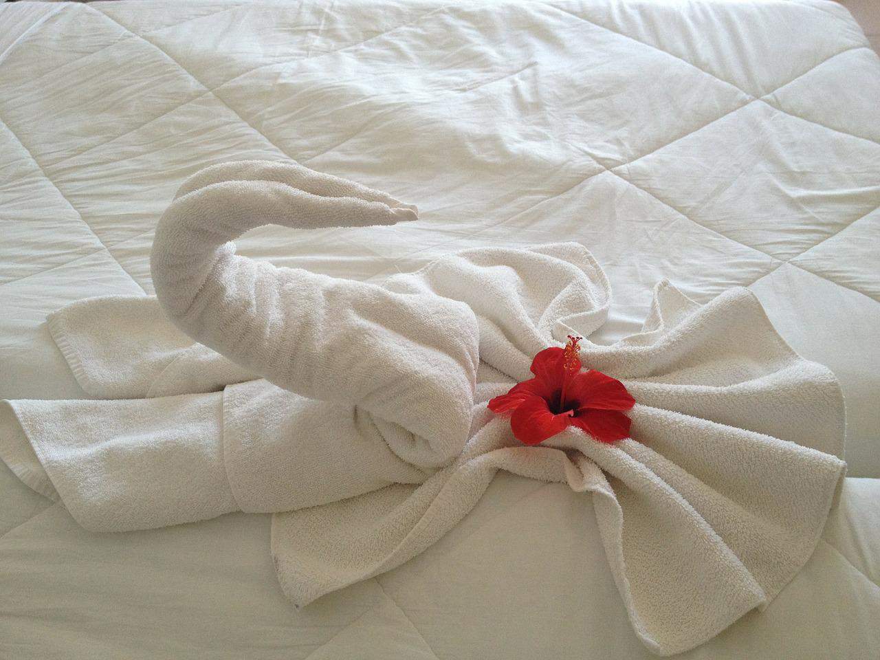 White towel swan decoration with red flower on hotel bed.