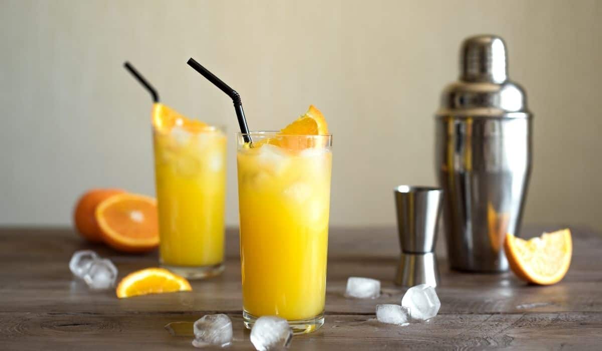 Orange juice cocktails on table with straws.