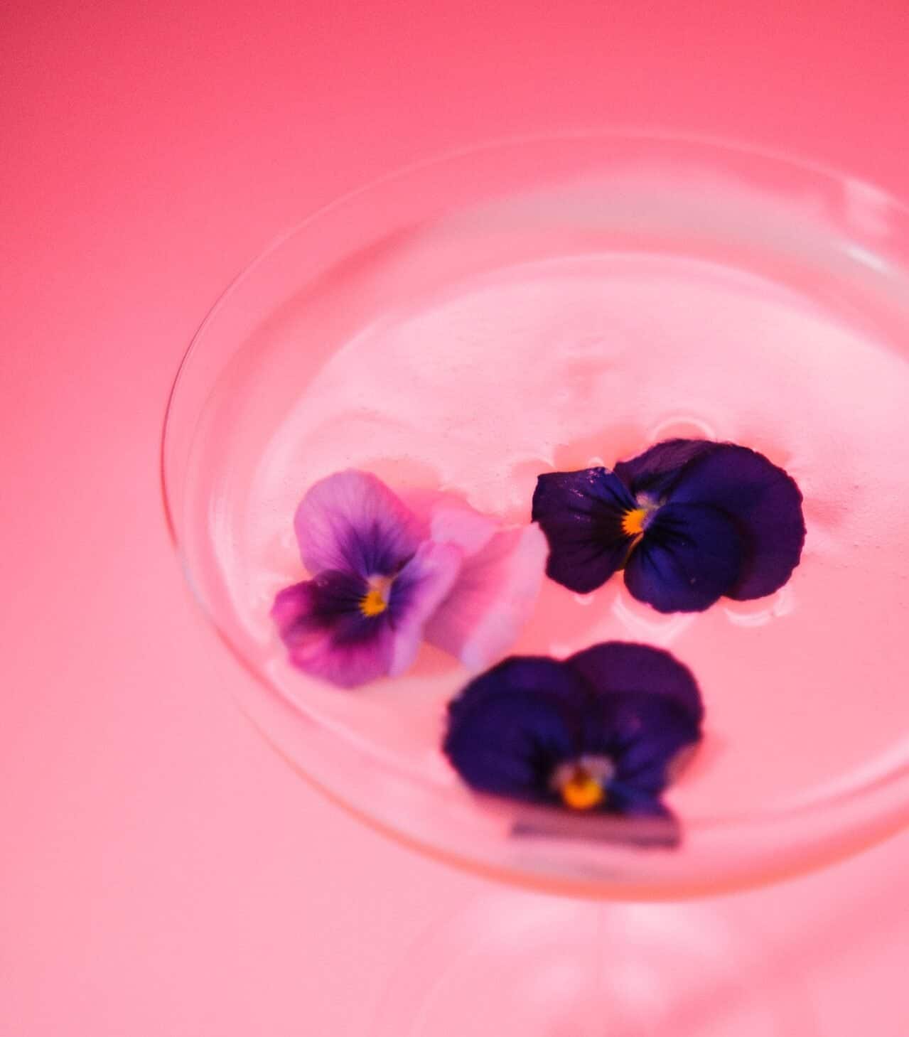 Edible Pansy flowers in cocktail glass against pink background.