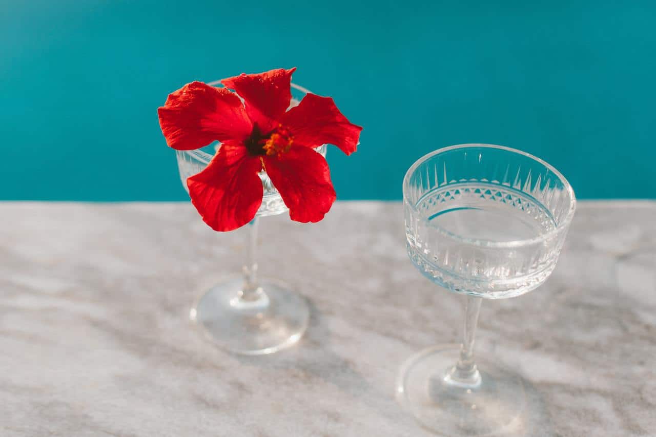 Crystal cocktail glass with red hibiscus flower.