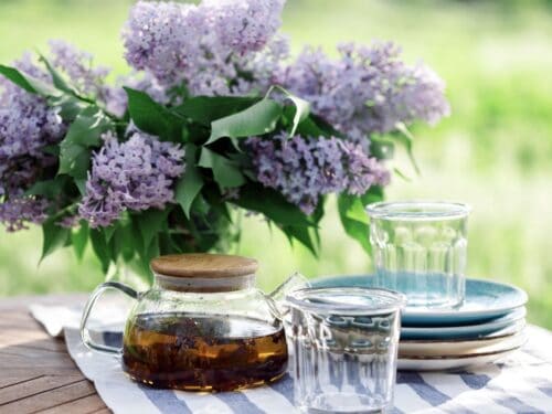 The Ultimate Adult Tea Party - Aleka's Get-Together