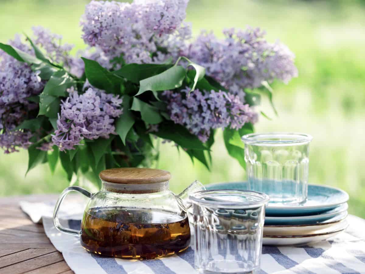 Purple flowers on table with tea.