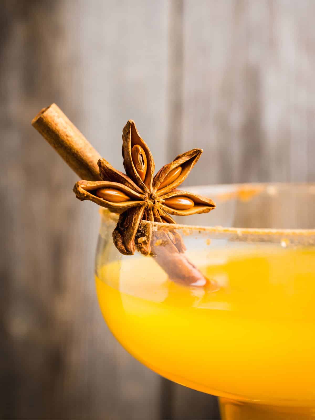 Close up of cinnamon stick and star anise on rim of pumpkin margarita.