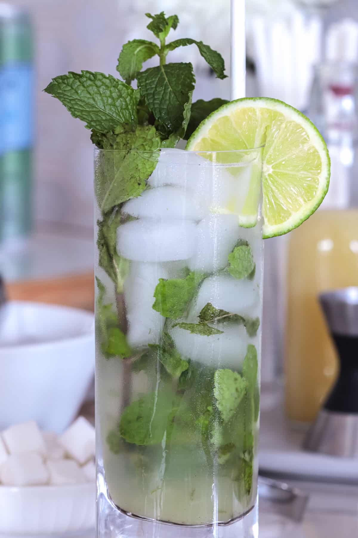 Mojito cocktail closeup.