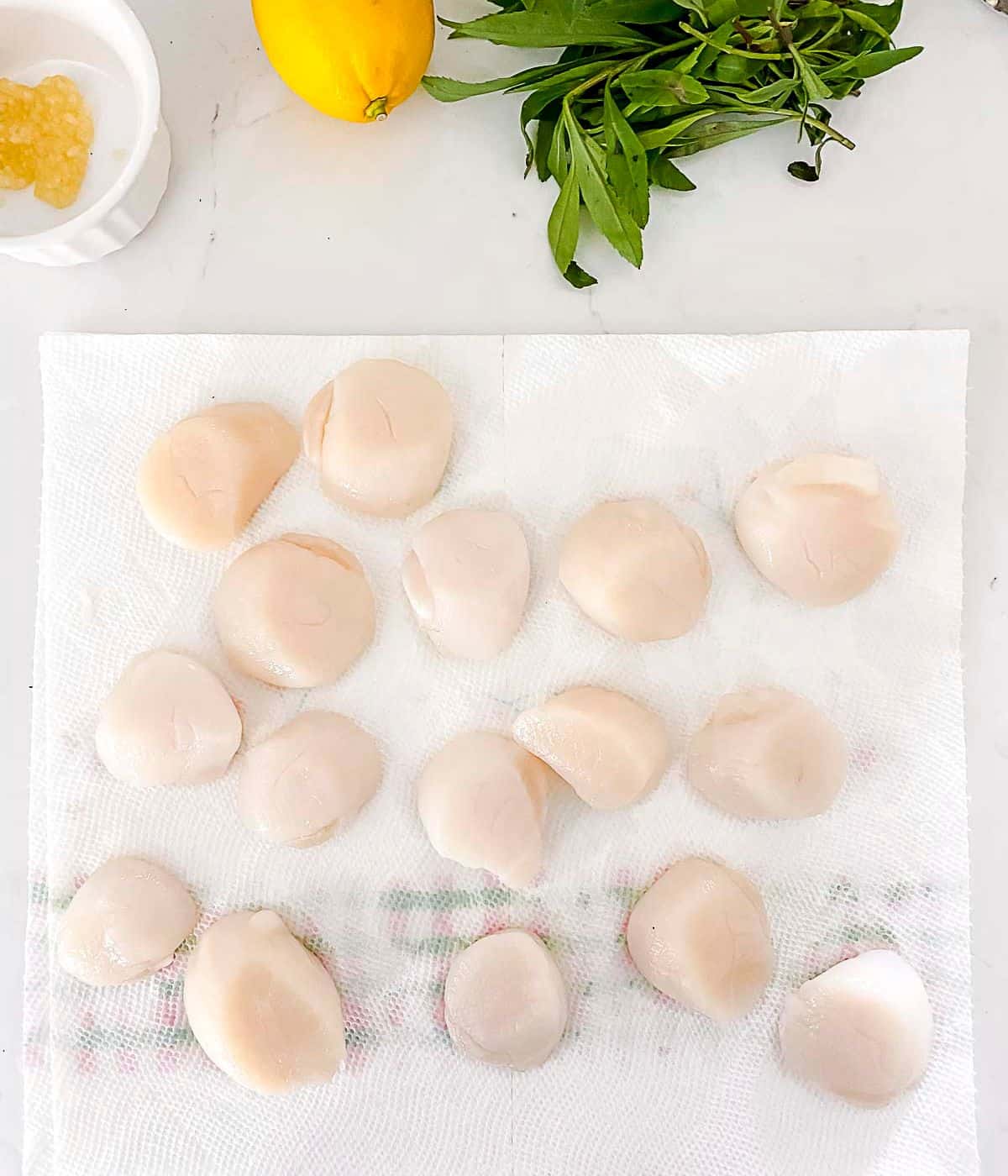Drying scallops on a paper towel before air frying.