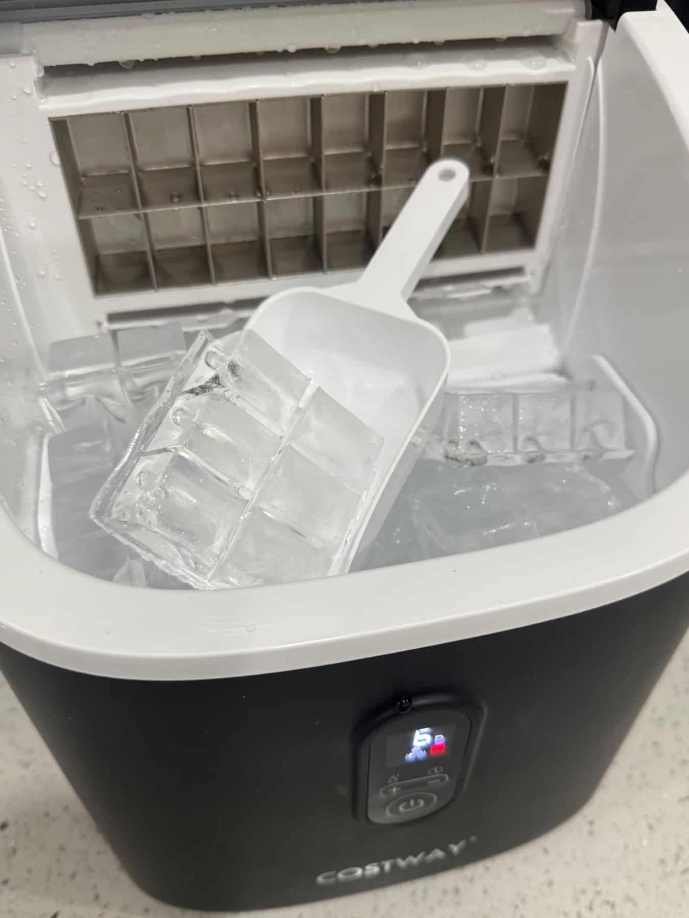 Fresh square ice cubes inside the COSTWAY countertop ice maker with the included ice scoop.